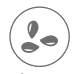 Sesamo